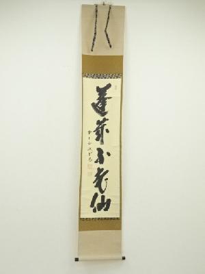 前大徳　藤井誡堂筆　「蓬莱不老仙」一行書　肉筆紙本掛軸（共箱）